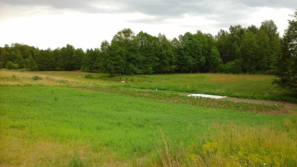 Zagroda z Antonówką Szypliszki Exterior foto